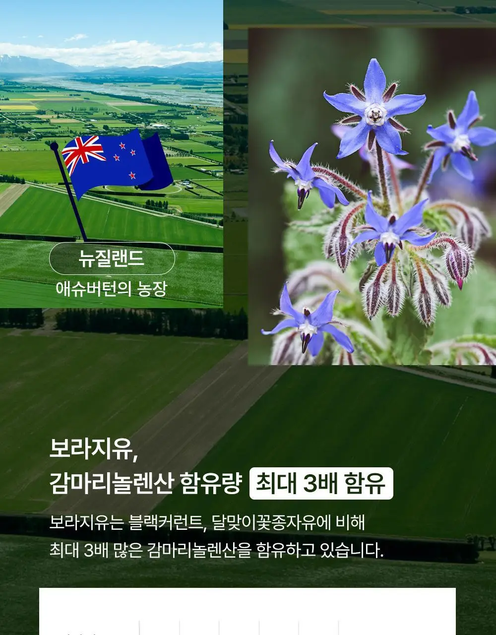 [콜레스테롤 개선] 이너플로라 보라지유 60캡슐 (1개월분) 상세페이지 19